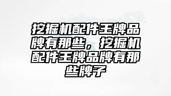 挖掘機(jī)配件王牌品牌有那些，挖掘機(jī)配件王牌品牌有那些牌子