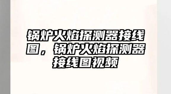 鍋爐火焰探測(cè)器接線圖，鍋爐火焰探測(cè)器接線圖視頻