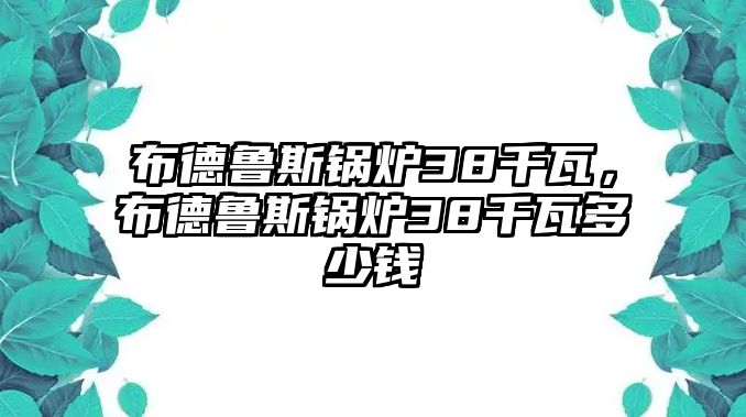 布德魯斯鍋爐38千瓦，布德魯斯鍋爐38千瓦多少錢