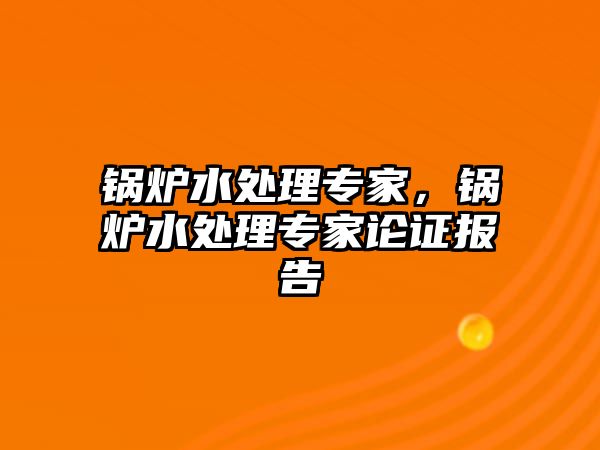 鍋爐水處理專家，鍋爐水處理專家論證報告