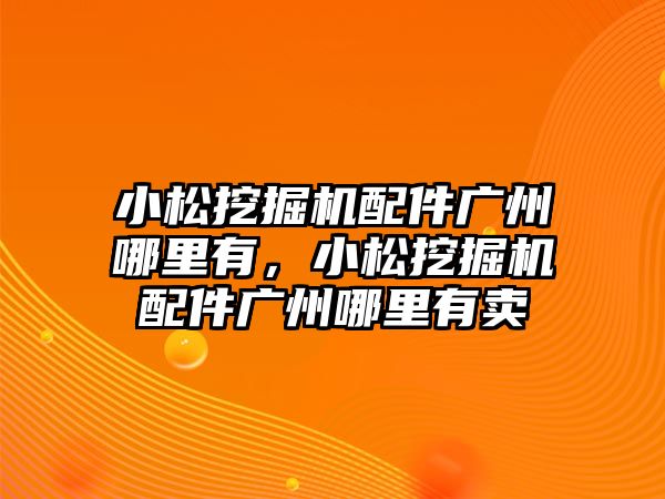 小松挖掘機配件廣州哪里有，小松挖掘機配件廣州哪里有賣