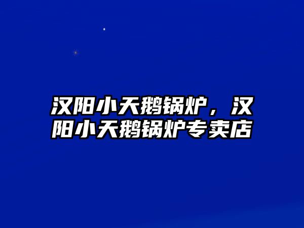 漢陽小天鵝鍋爐，漢陽小天鵝鍋爐專賣店