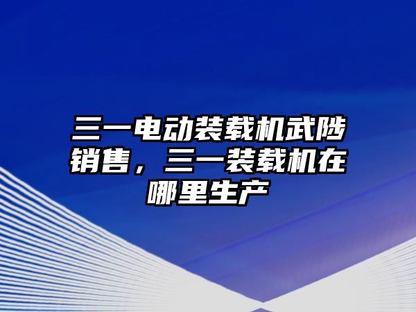 三一電動裝載機武陟銷售，三一裝載機在哪里生產(chǎn)