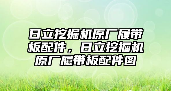 日立挖掘機(jī)原廠履帶板配件，日立挖掘機(jī)原廠履帶板配件圖