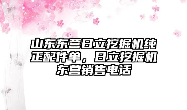 山東東營日立挖掘機純正配件單，日立挖掘機東營銷售電話