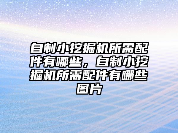 自制小挖掘機所需配件有哪些，自制小挖掘機所需配件有哪些圖片