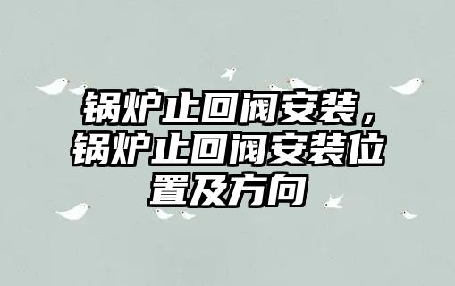 鍋爐止回閥安裝，鍋爐止回閥安裝位置及方向