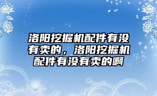 洛陽挖掘機(jī)配件有沒有賣的，洛陽挖掘機(jī)配件有沒有賣的啊