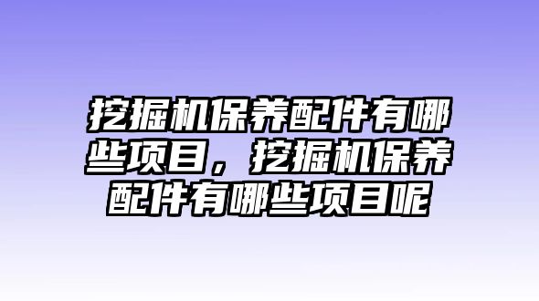 挖掘機保養(yǎng)配件有哪些項目，挖掘機保養(yǎng)配件有哪些項目呢