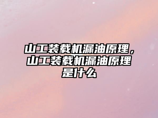 山工裝載機漏油原理，山工裝載機漏油原理是什么