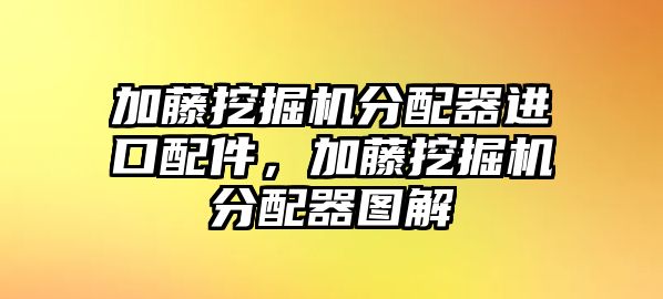 加藤挖掘機(jī)分配器進(jìn)口配件，加藤挖掘機(jī)分配器圖解