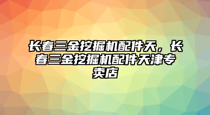 長春三金挖掘機(jī)配件天，長春三金挖掘機(jī)配件天津?qū)Ｙu店