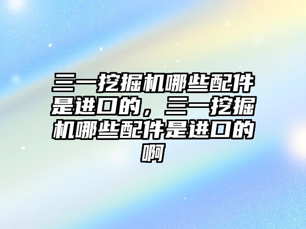 三一挖掘機哪些配件是進口的，三一挖掘機哪些配件是進口的啊