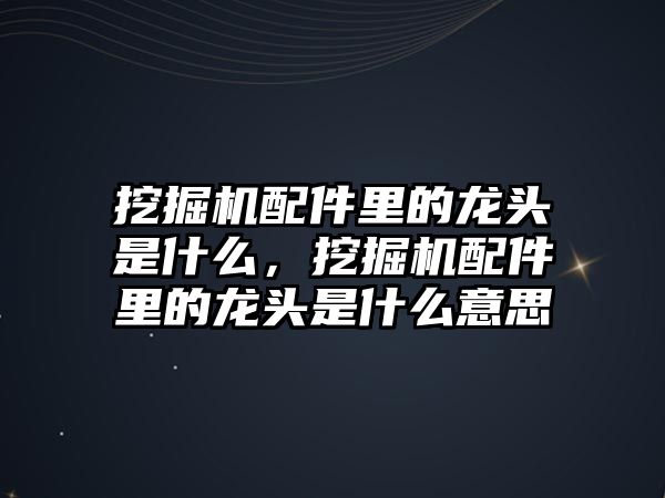 挖掘機配件里的龍頭是什么，挖掘機配件里的龍頭是什么意思