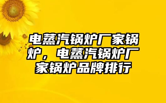 電蒸汽鍋爐廠家鍋爐，電蒸汽鍋爐廠家鍋爐品牌排行