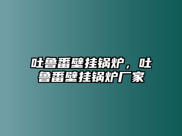 吐魯番壁掛鍋爐，吐魯番壁掛鍋爐廠家