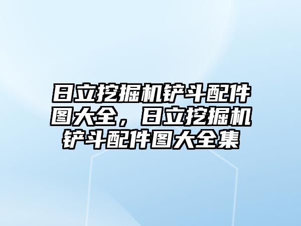 日立挖掘機鏟斗配件圖大全，日立挖掘機鏟斗配件圖大全集