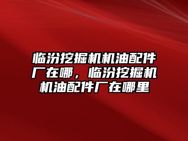 臨汾挖掘機機油配件廠在哪，臨汾挖掘機機油配件廠在哪里