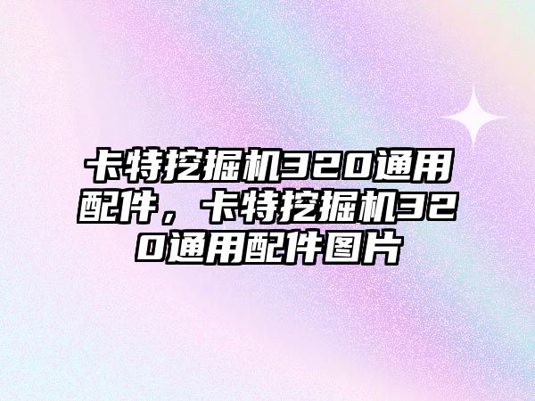 卡特挖掘機(jī)320通用配件，卡特挖掘機(jī)320通用配件圖片