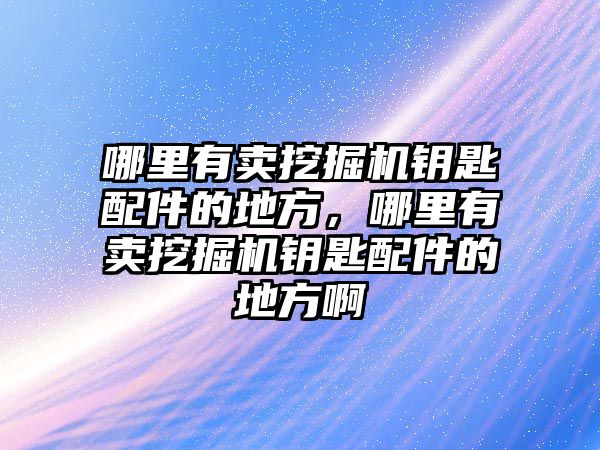 哪里有賣挖掘機鑰匙配件的地方，哪里有賣挖掘機鑰匙配件的地方啊