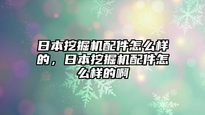 日本挖掘機(jī)配件怎么樣的，日本挖掘機(jī)配件怎么樣的啊