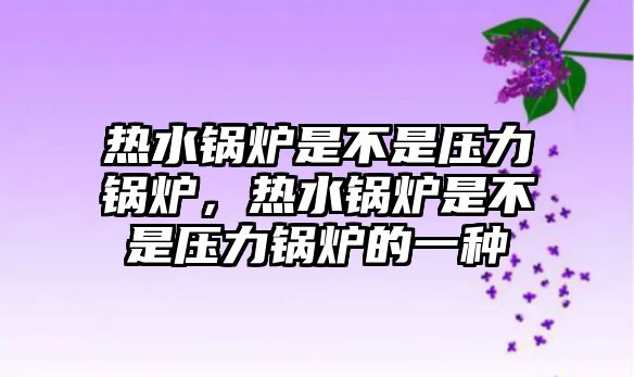 熱水鍋爐是不是壓力鍋爐，熱水鍋爐是不是壓力鍋爐的一種