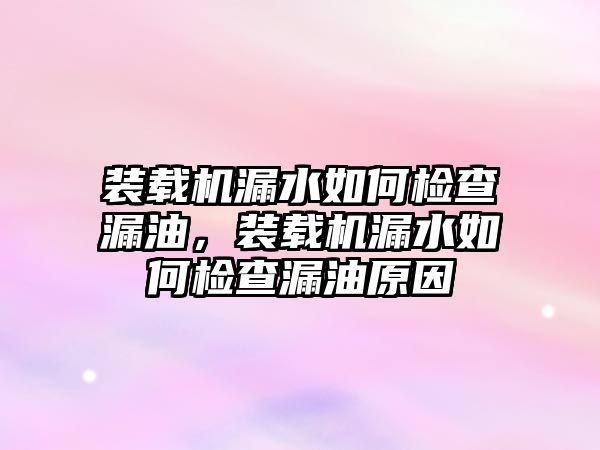 裝載機(jī)漏水如何檢查漏油，裝載機(jī)漏水如何檢查漏油原因