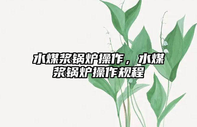 水煤漿鍋爐操作，水煤漿鍋爐操作規(guī)程