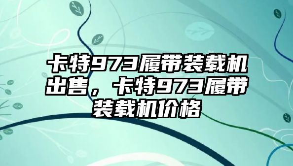 卡特973履帶裝載機(jī)出售，卡特973履帶裝載機(jī)價(jià)格