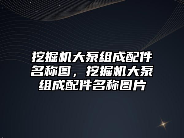 挖掘機大泵組成配件名稱圖，挖掘機大泵組成配件名稱圖片