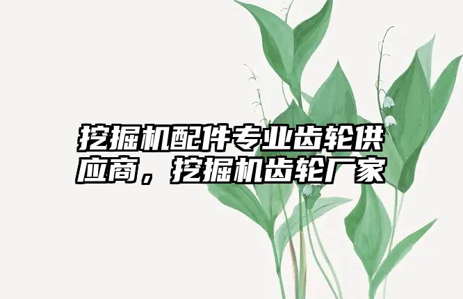 挖掘機配件專業(yè)齒輪供應商，挖掘機齒輪廠家