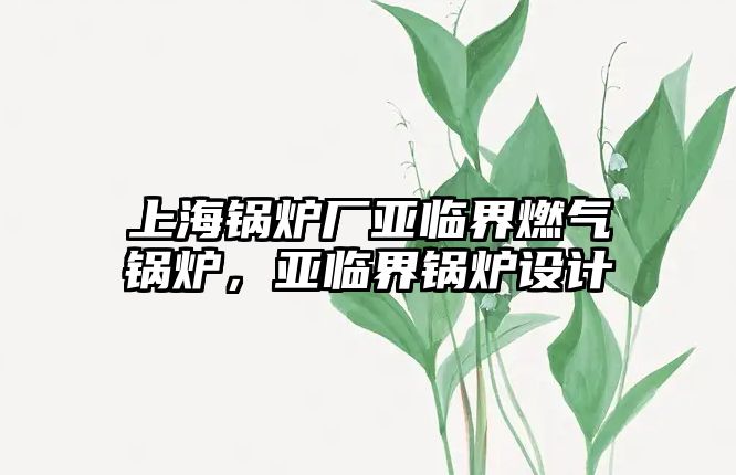 上海鍋爐廠亞臨界燃?xì)忮仩t，亞臨界鍋爐設(shè)計(jì)