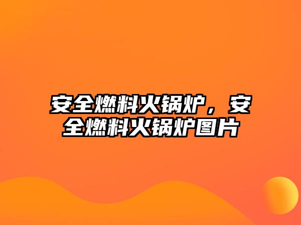 安全燃料火鍋爐，安全燃料火鍋爐圖片