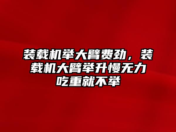 裝載機(jī)舉大臂費(fèi)勁，裝載機(jī)大臂舉升慢無(wú)力吃重就不舉