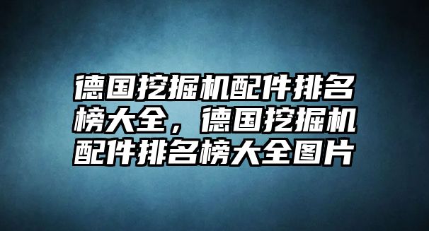 德國挖掘機配件排名榜大全，德國挖掘機配件排名榜大全圖片