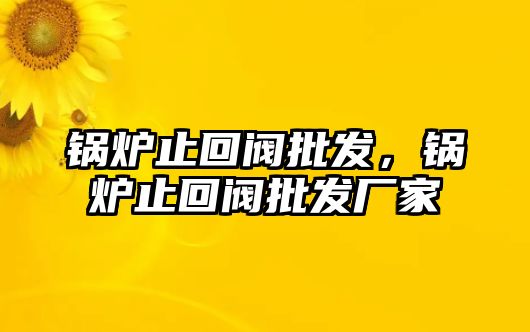 鍋爐止回閥批發(fā)，鍋爐止回閥批發(fā)廠家