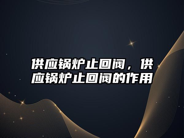 供應(yīng)鍋爐止回閥，供應(yīng)鍋爐止回閥的作用