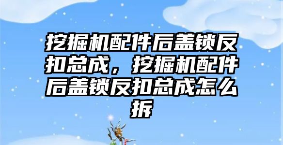 挖掘機配件后蓋鎖反扣總成，挖掘機配件后蓋鎖反扣總成怎么拆