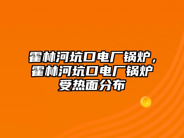 霍林河坑口電廠鍋爐，霍林河坑口電廠鍋爐受熱面分布