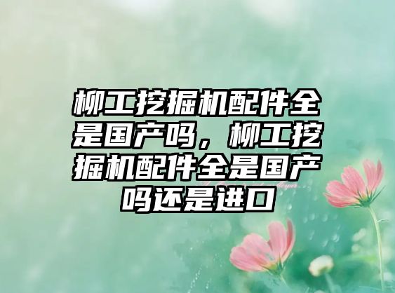 柳工挖掘機配件全是國產(chǎn)嗎，柳工挖掘機配件全是國產(chǎn)嗎還是進口