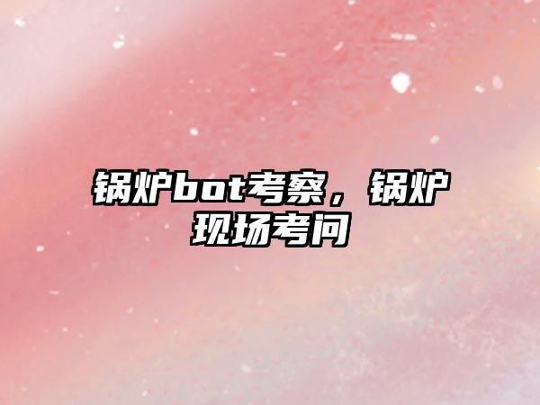 鍋爐bot考察，鍋爐現(xiàn)場考問