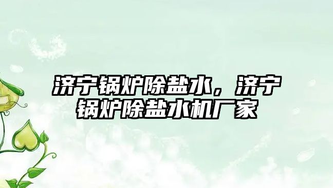 濟寧鍋爐除鹽水，濟寧鍋爐除鹽水機廠家