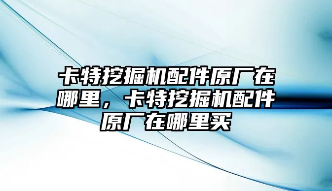 卡特挖掘機(jī)配件原廠在哪里，卡特挖掘機(jī)配件原廠在哪里買