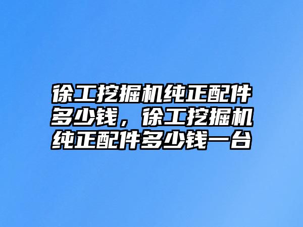 徐工挖掘機純正配件多少錢，徐工挖掘機純正配件多少錢一臺