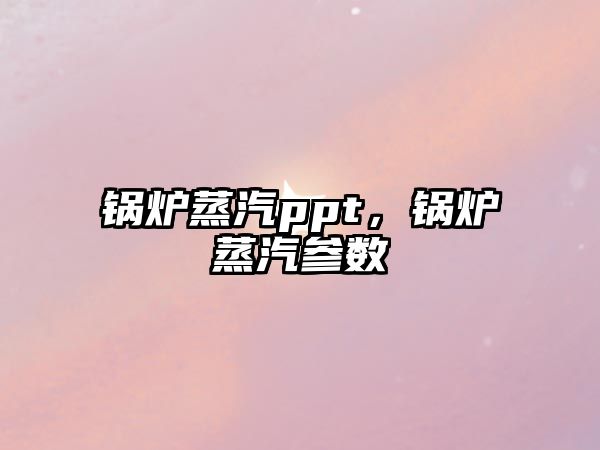 鍋爐蒸汽ppt，鍋爐蒸汽參數(shù)