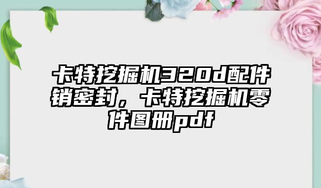 卡特挖掘機(jī)320d配件銷密封，卡特挖掘機(jī)零件圖冊(cè)pdf