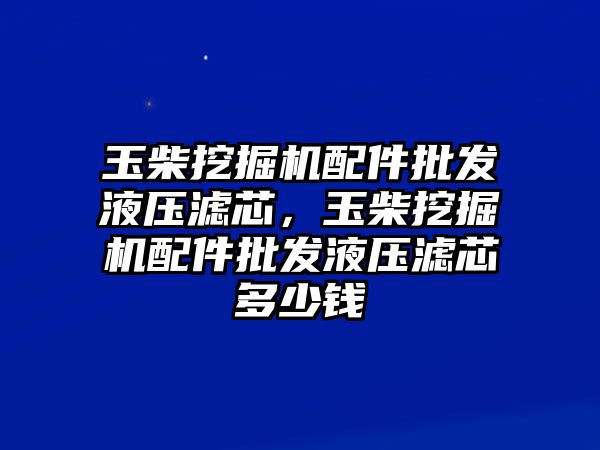 玉柴挖掘機(jī)配件批發(fā)液壓濾芯，玉柴挖掘機(jī)配件批發(fā)液壓濾芯多少錢