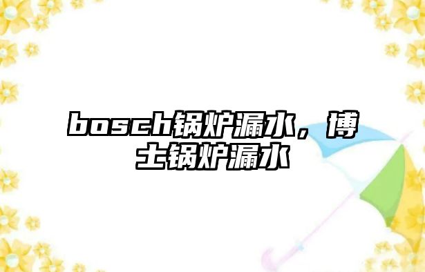 bosch鍋爐漏水，博士鍋爐漏水