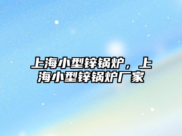 上海小型鋅鍋爐，上海小型鋅鍋爐廠家