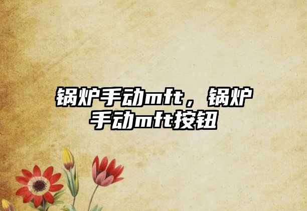 鍋爐手動(dòng)mft，鍋爐手動(dòng)mft按鈕